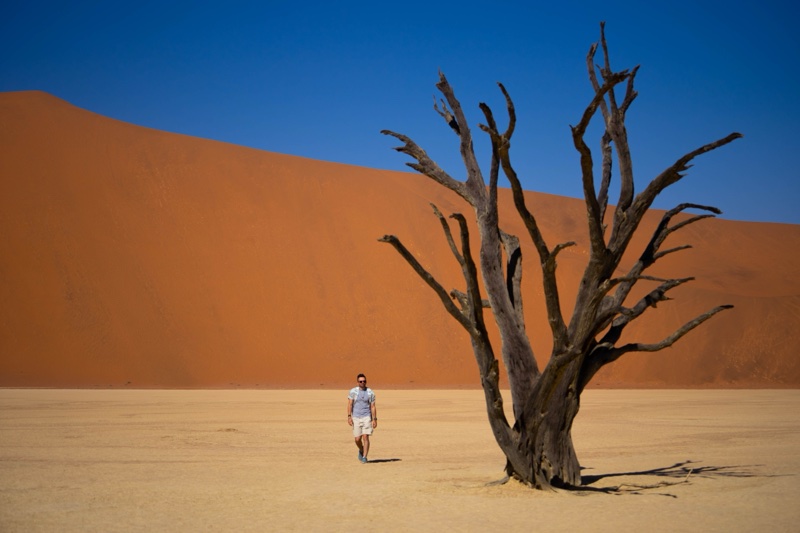 Deadvlei, Namibia - 06 July 2023. Photo of a dry tree in the Namib Desert next to a reddish sand dune in Namibia.