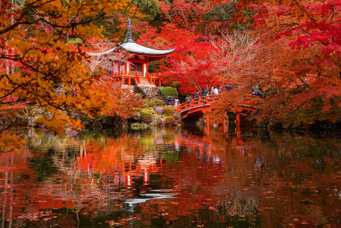 Japan - November 12, 2023 : Tourists enjoy sightseeing colorful maple trees   in the garden of Daigoji Temple in autumn with Bentendo Hall background, Kyoto